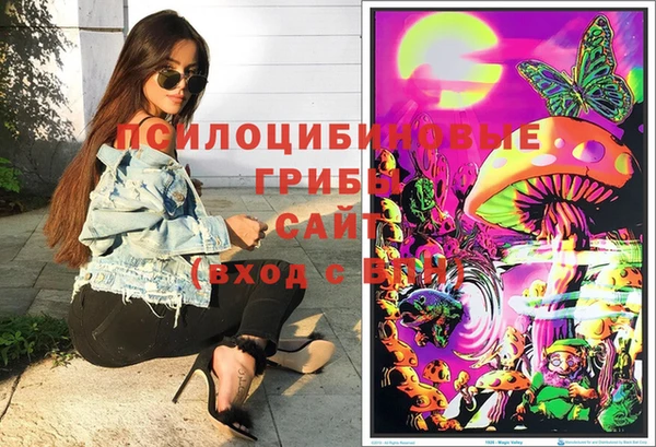 индика Лиски