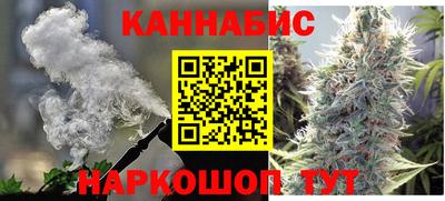индика Гагарин
