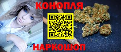 индика Гагарин