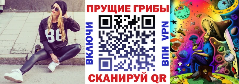 Псилоцибиновые грибы Psilocybine cubensis  KRAKEN сайт  Ижевск 