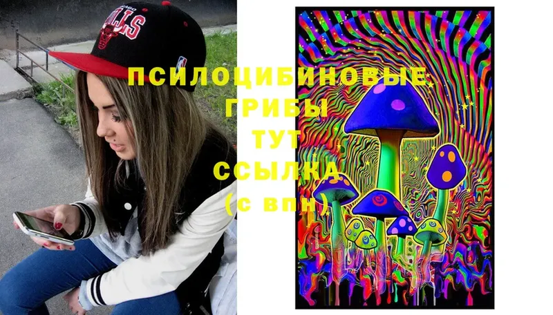 Галлюциногенные грибы Psilocybe Ижевск