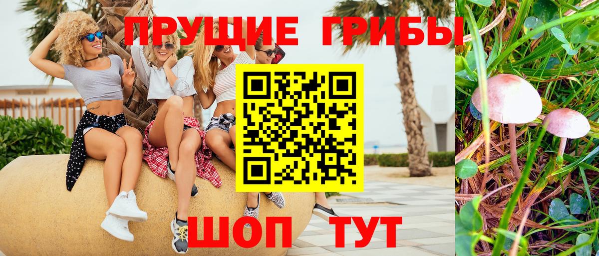 Галлюциногенные грибы мухоморы  Вход с VPN  Ижевск 
