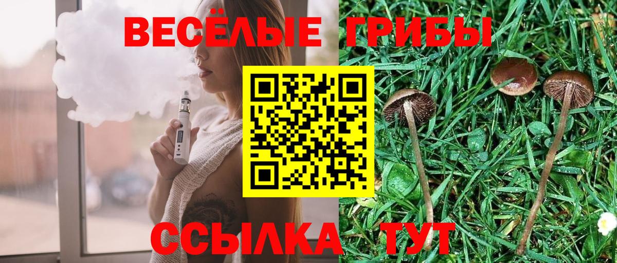 Галлюциногенные грибы ЛСД Ижевск