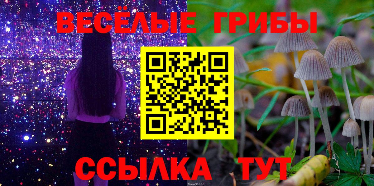 Псилоцибиновые грибы Magic Shrooms Ижевск